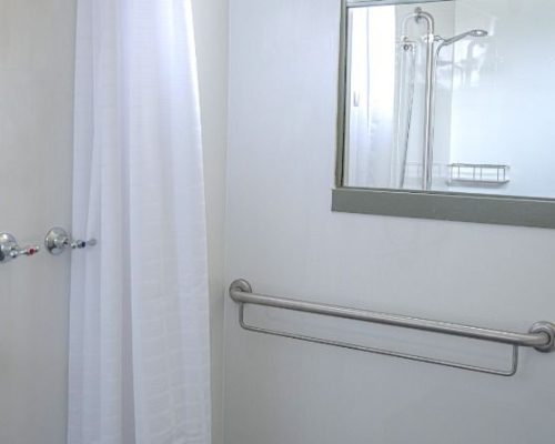 ShowerTrack2